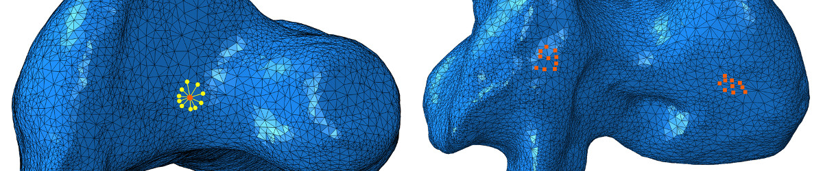 Loading regimes for finite element analysis of Dinornis femur - details